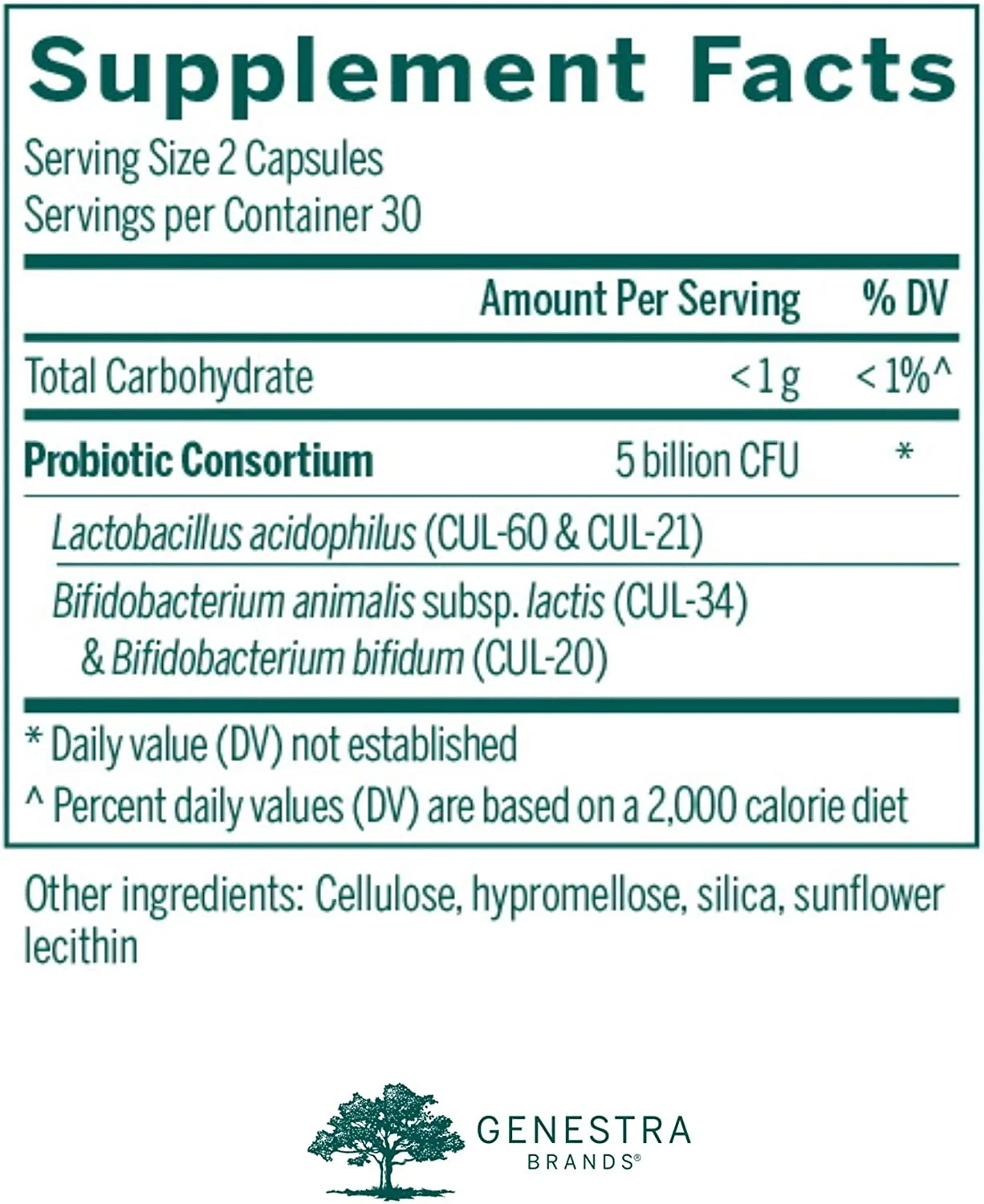 HMF Capsules | Probiotic Formula to Support Healthy Gut Flora | 60 Capsules