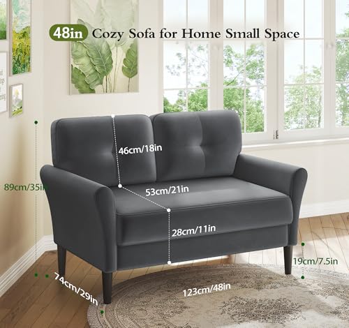 Small Sofa Couch, 48