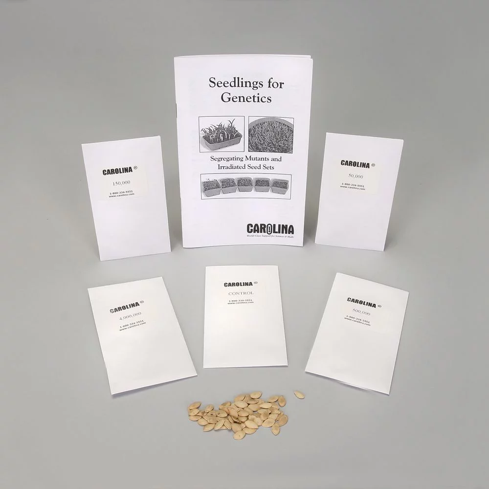 Squash, Irradiated Seed Set, 5 Packs Of 50