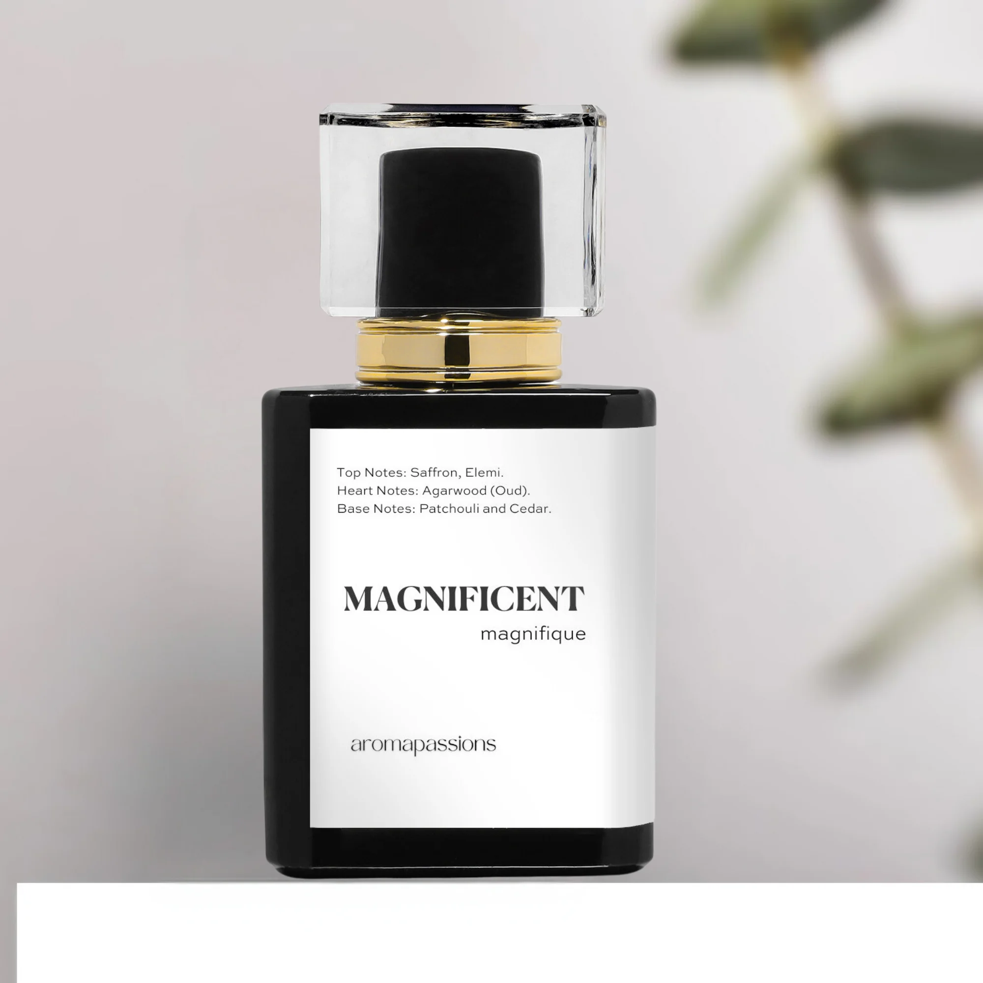 MAGNIFICENT | Inspired by Maison Francis Kurkdjian (MFK) OUD | Pheromone Perfume for Men and Women | Extrait De Parfum | Long Lasting