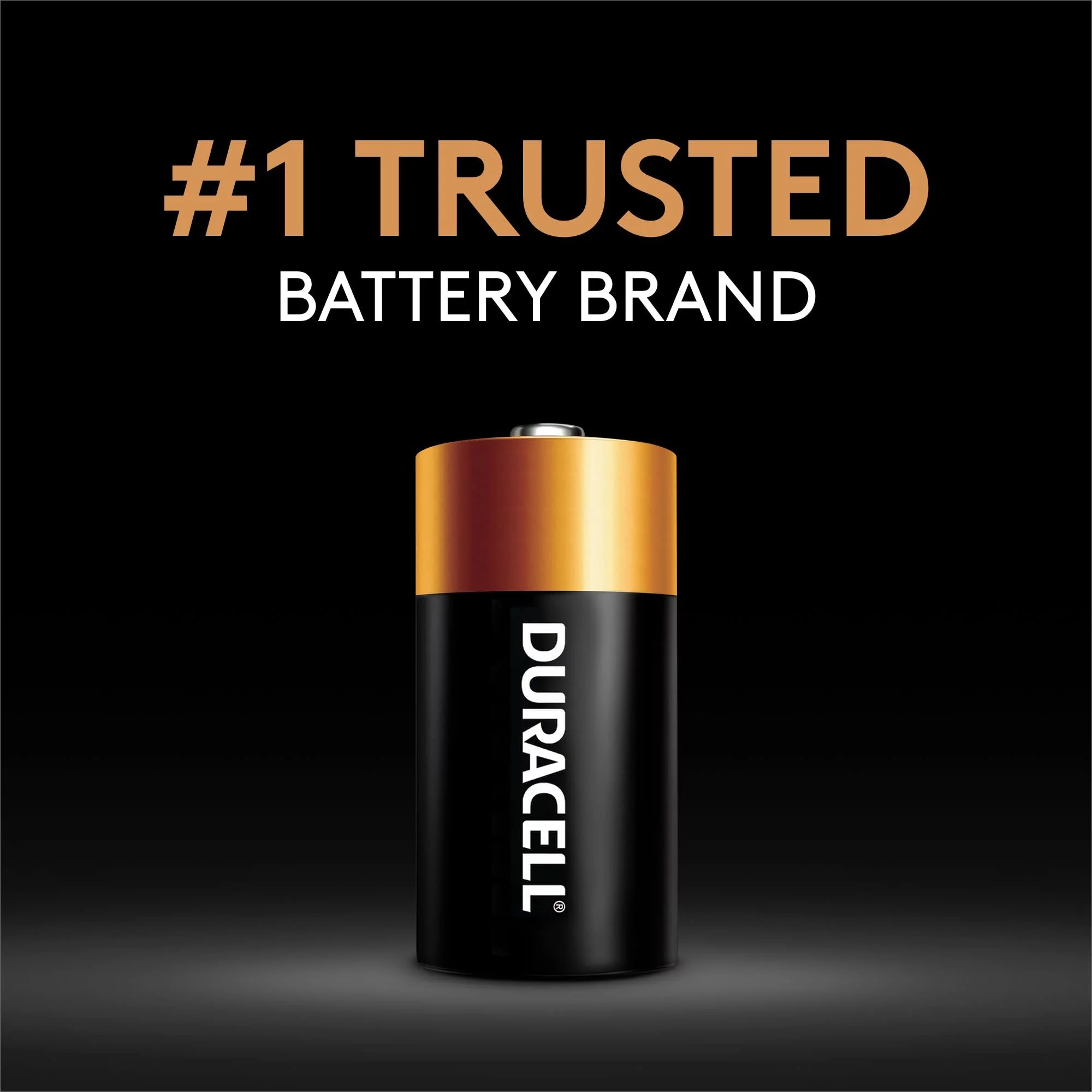 DURACELL CopperTop MN1300 1.5V D (LR20) Alkaline Battery (Pack of 2)