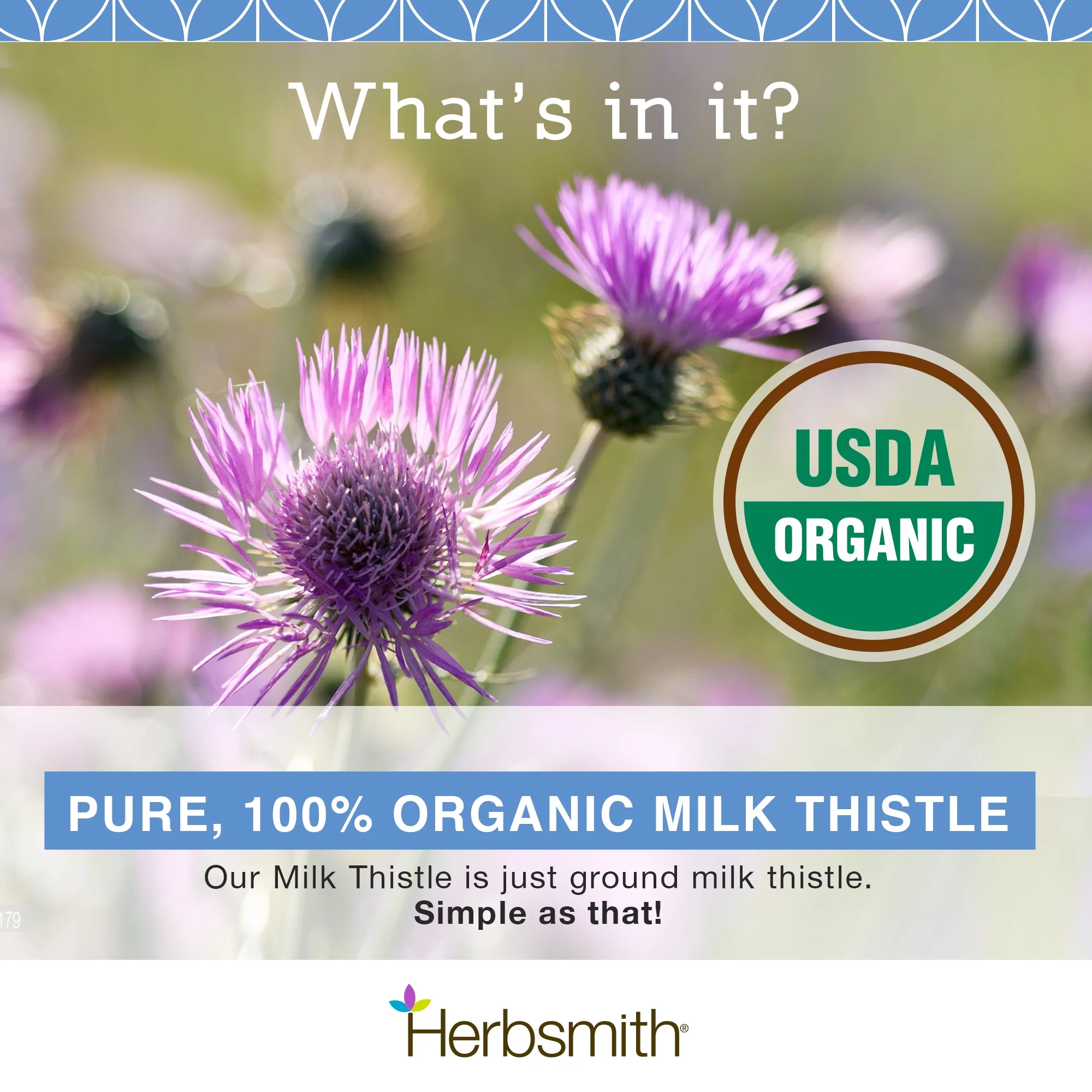 Herbsmith Organic Milk Thistle for Dogs and Cats – Liver Supplement for Dogs & Cats – A – 500g Powder