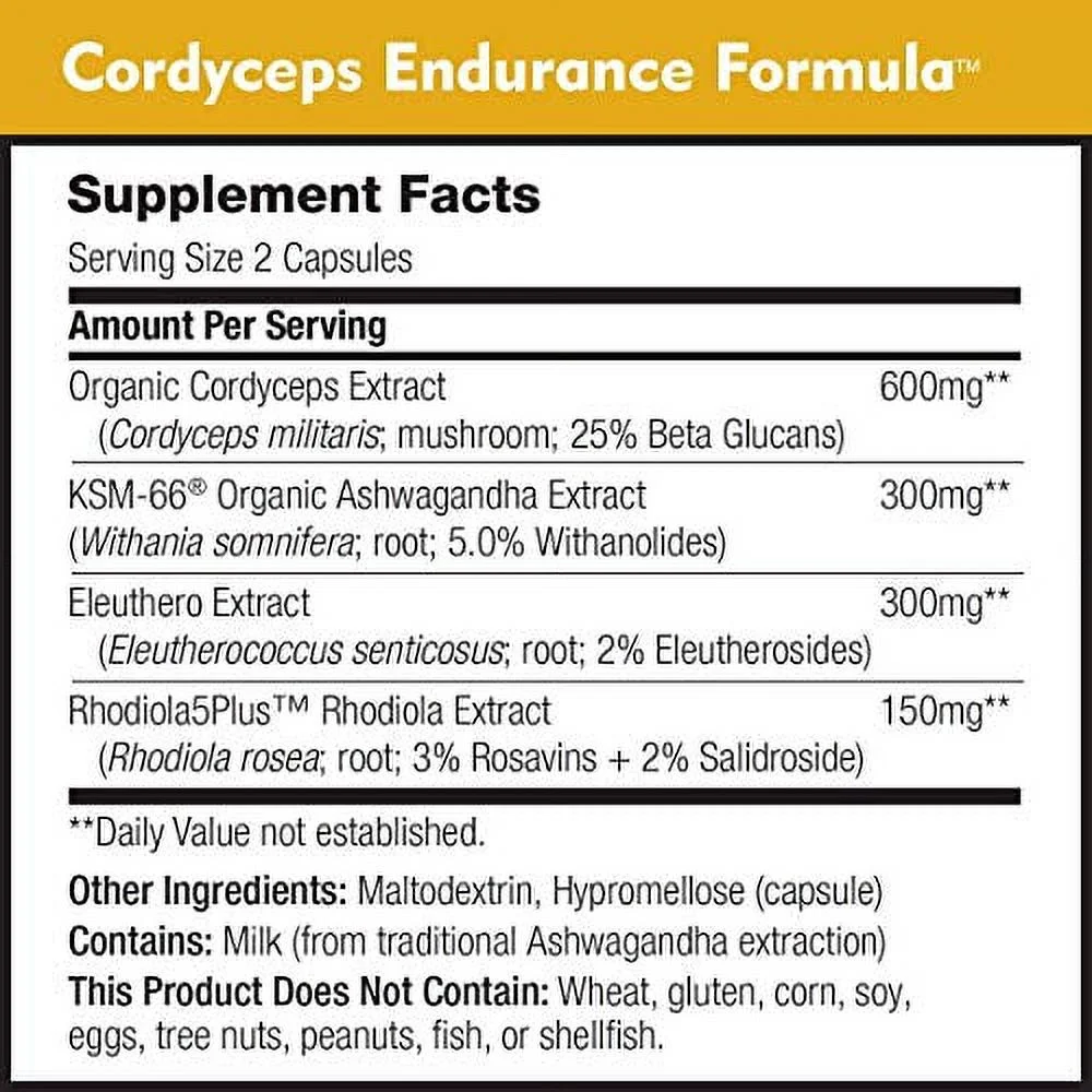 Cordyceps Endurance Formula by DailyNutra - Natural Energy Supplement - Caffeine Free | Organic Mushroom Extract with KSM-66 Ashwagandha, Eleuthero and Rhodiola (3-Pack)