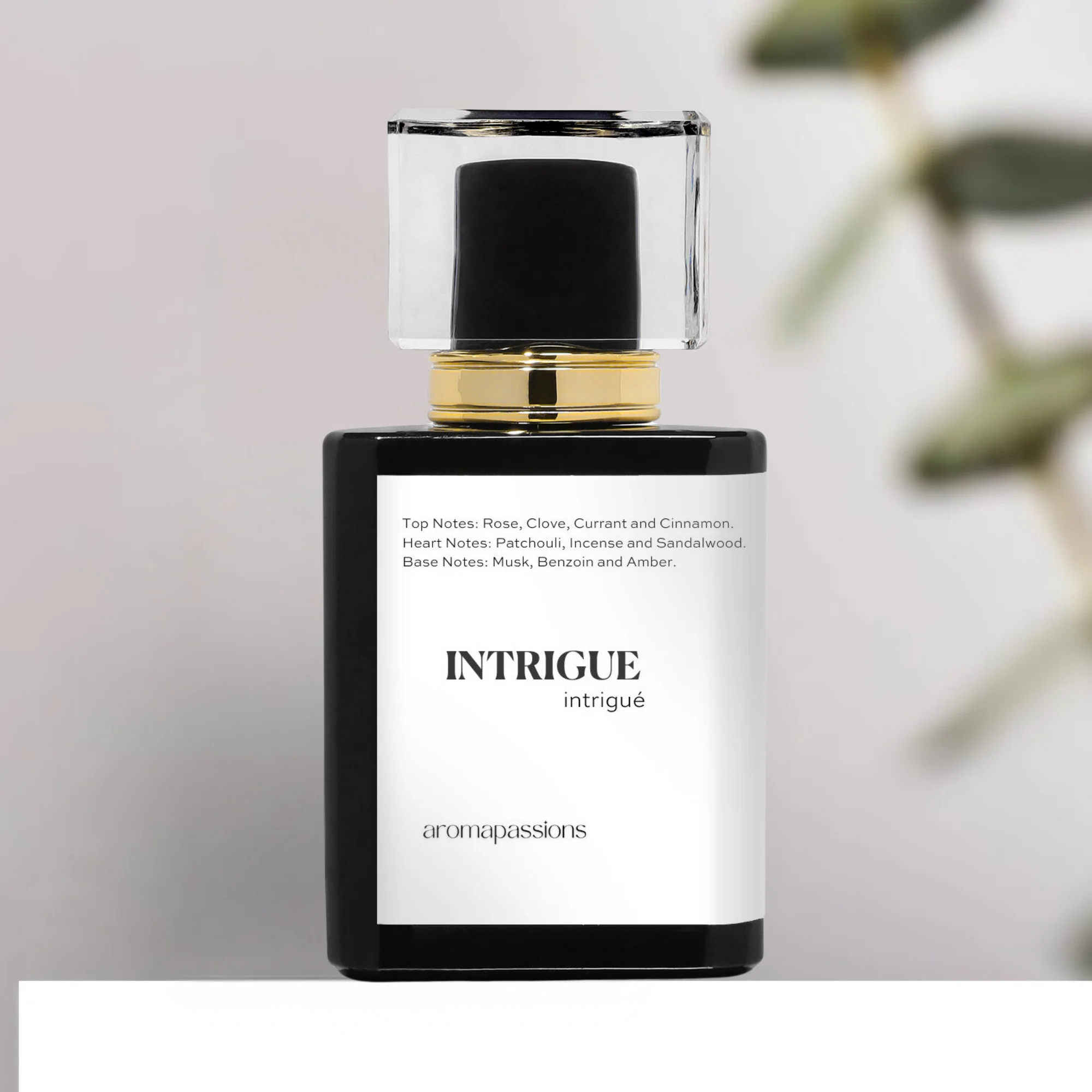 INTRIGUE | Inspired by Frederic Malle PORTRAIT OF A LADY | Pheromone Perfume for Women | Extrait De Parfum | Long Lasting