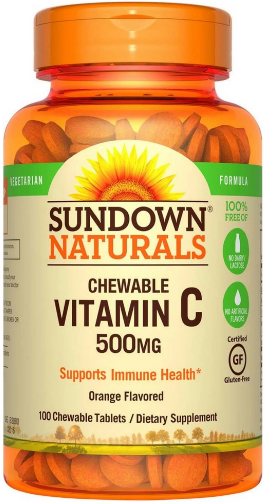 Sundown Vitamin C 500 mg Chewable Tablets With Natural Rose Hips 100 Tablets (Pack of 2)