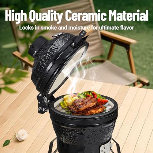 13-Inch Portable Ceramic Charcoal Grill with Grill Stand, Egg Shaped Ceramic Charcoal Grill w 10.6