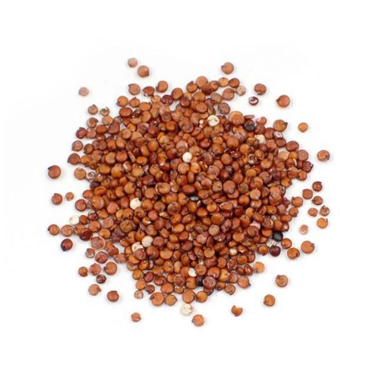 DAllesandro Red Quinoa, 10 lbs Bag