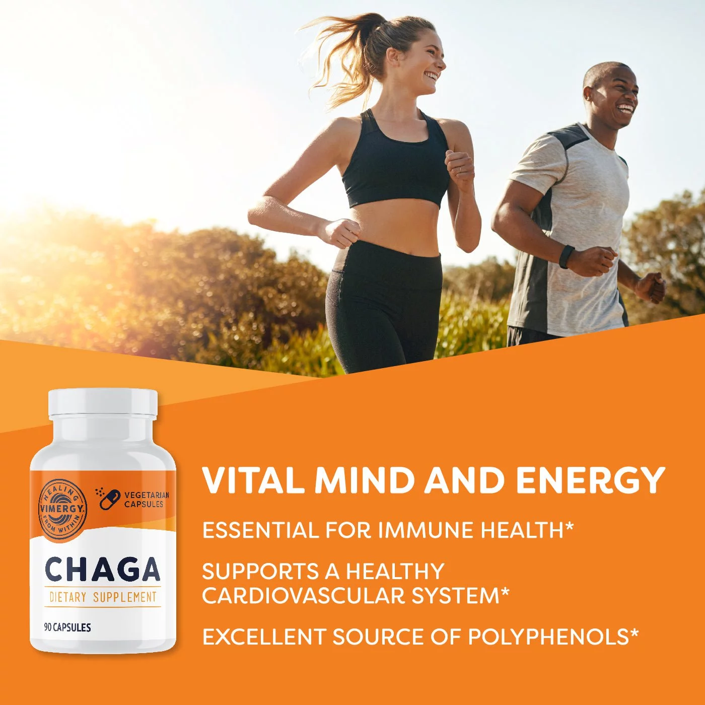 Vimergy Chaga Mushroom Capsules, 30 Servings
