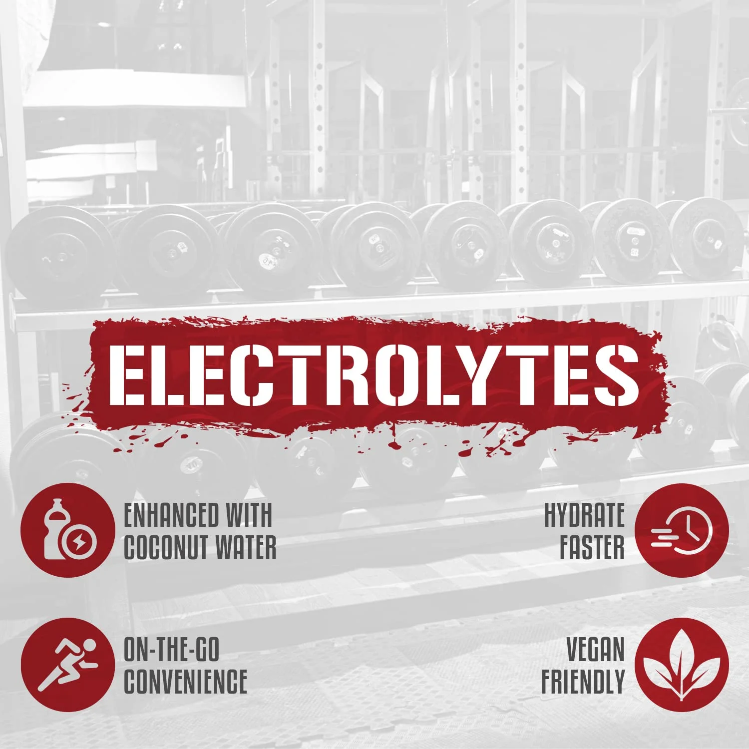 5% Nutrition Hydrate Stick Hydration Packets | Sport Electrolyte Powder Mix Packets with Coconut Water (Blueberry Lemonade) (10 Count)