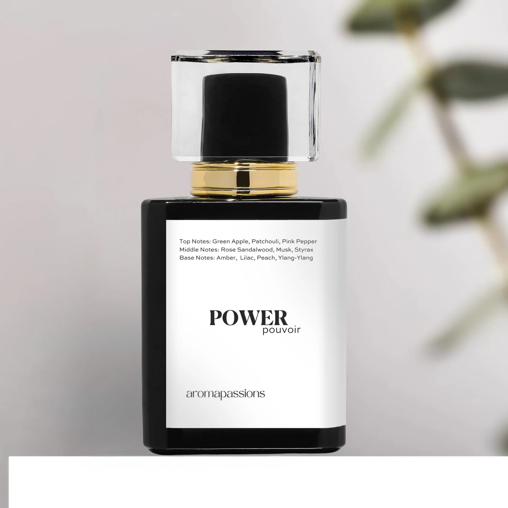 POWER | Inspired by CREED AVNTUS HER | Pheromone Perfume for Women | Extrait De Parfum | Long Lasting Dupe Clone Perfume
