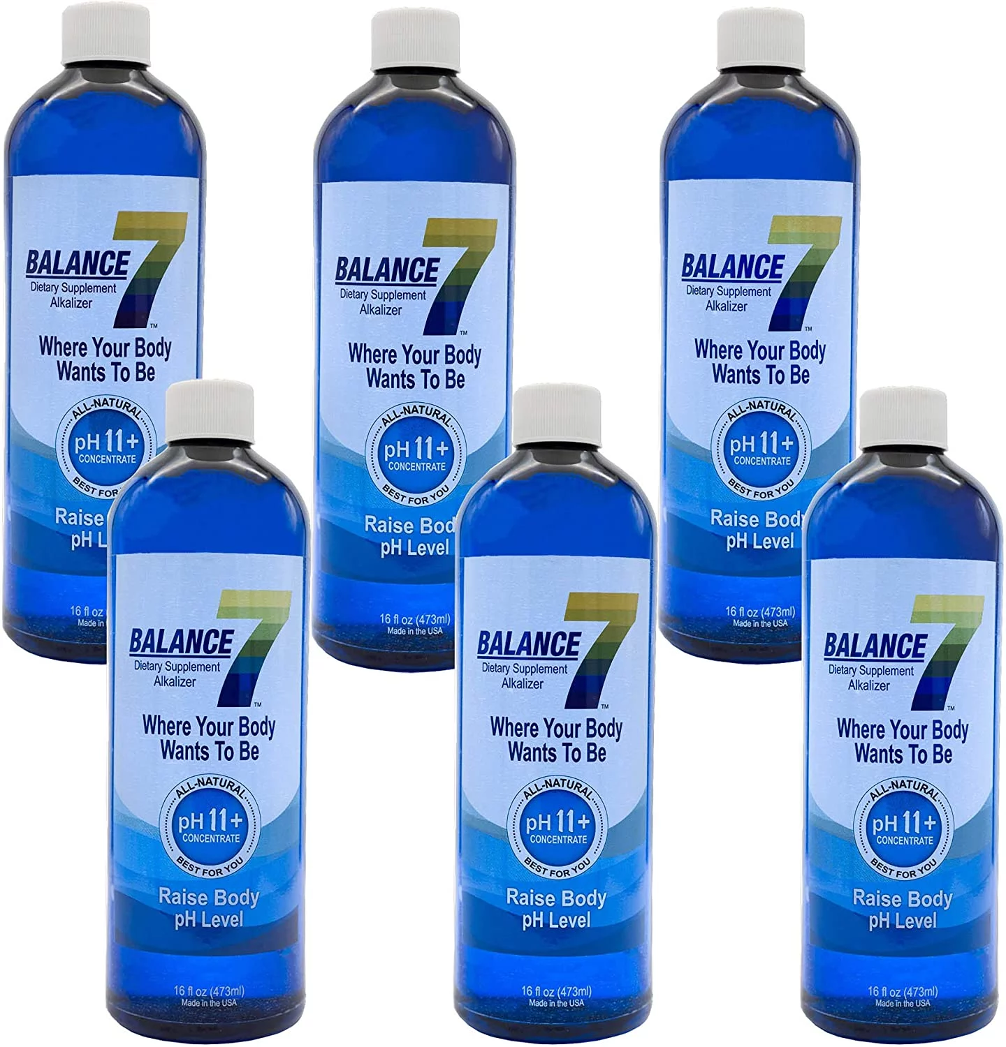 Alkaline Dietary Supplement - 11+ pH Alkalizing Concentrate and pH Booster Mineral Liquid (16 fl oz, 6 Bottles)