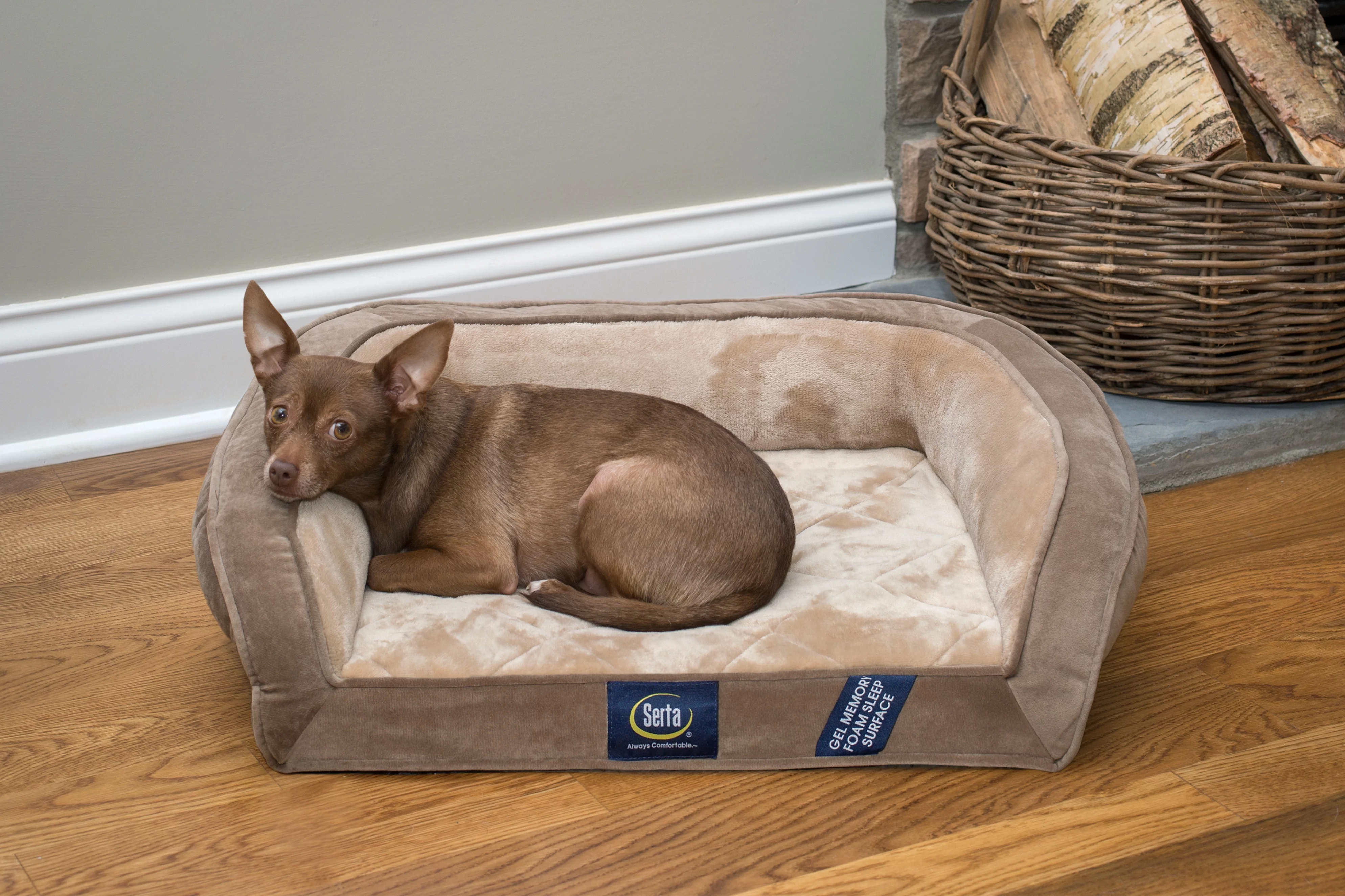Serta Gel Memory Foam Quilted Ortho Couch Dog Bed, Small Brown