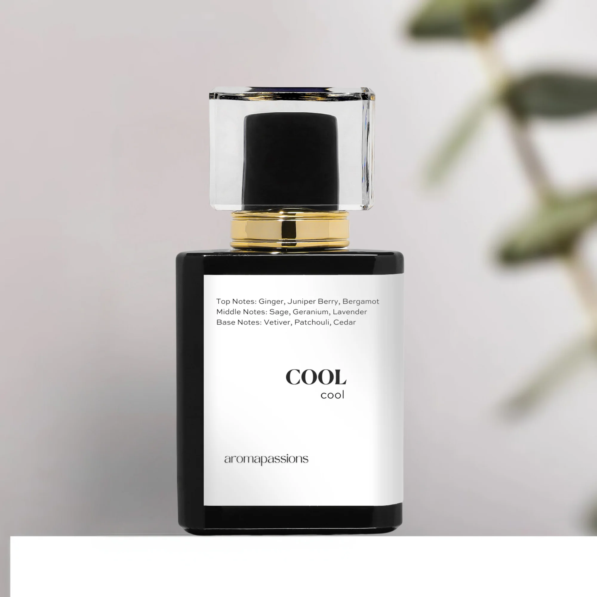 COOL | Inspired by Yves Saint Laurent YSL Y EDP | Pheromone Perfume for Men | Extrait De Parfum | Long Lasting