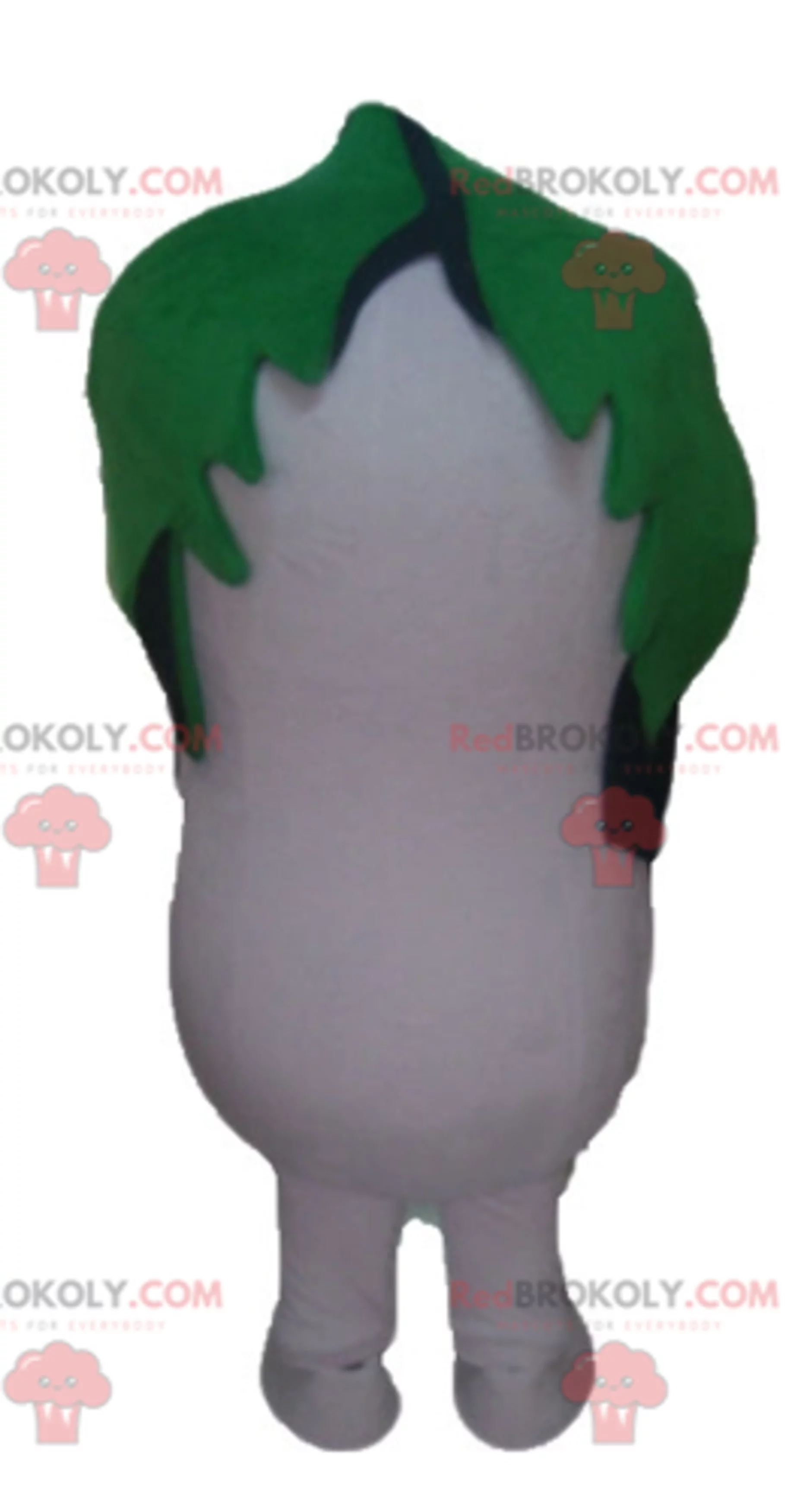 Dudhi white radish REDBROKOLY mascot with a leaf on his head