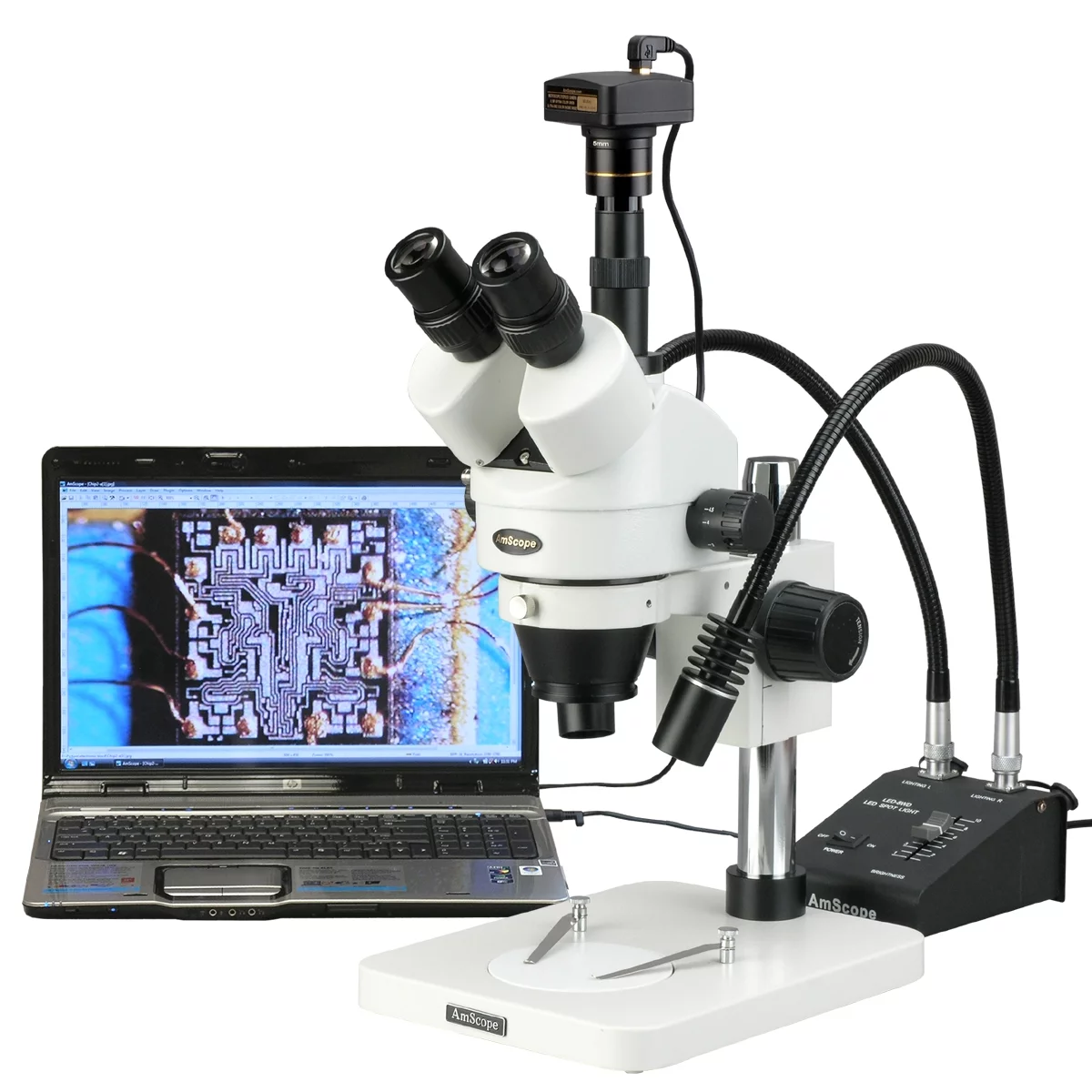 AmScope 3.5-225X Zoom Stereo Microscope w Gooseneck LED Lights+10MP USB Digital Camera New
