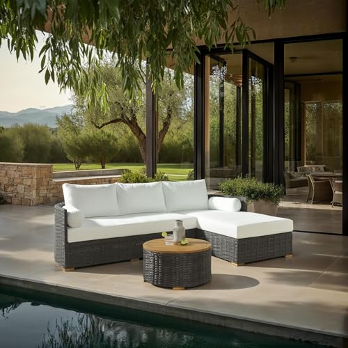 SAFAVIEH Couture Collection Anguilla Natural Brown Faux Wicker Indoor/Outdoor Storage Coffee Table (Fully Assembled)