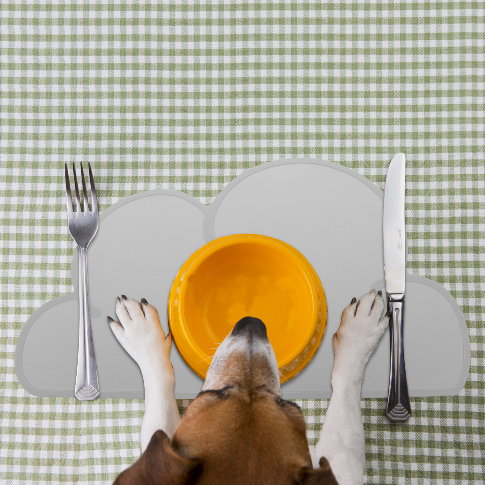 unbranded 2pcs Wear-Resistant Pet Feeding Mat Cat Bowl Floor Pad Dog Silicone Food Cushion