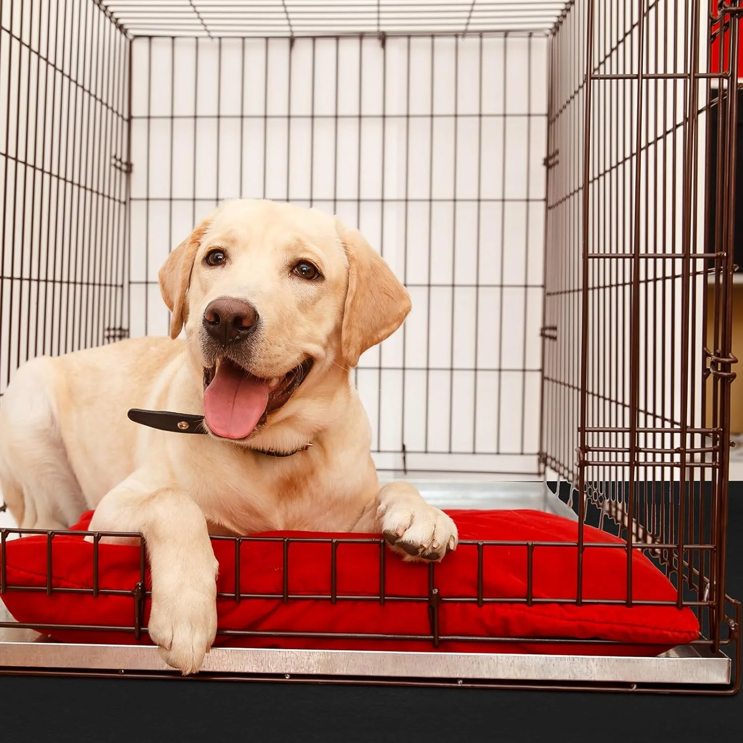 PVC Pet Crate Floor Protection Mat 29" X 44" XXL Washable Floor Covering Reusable Waterproof Non Slip Rug Whelping Pad for Pet