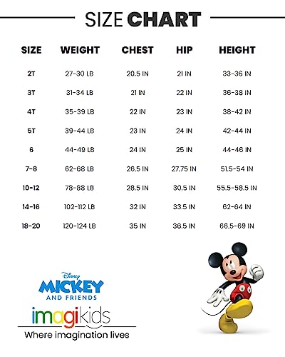 Disney Mickey Mouse Winnie the Pooh Tigger Fleece Cosplay Pullover Hoodie Infant to Big Kid