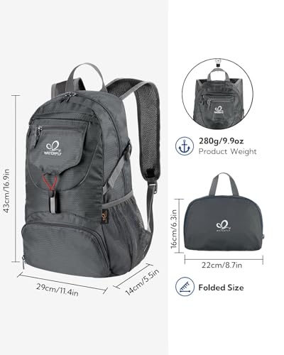 WATERFLY Small Lightweight Packable Backpack: 20l Ultra Light Foldable Travel Hiking Camping Daypack Day Pack for Man Woman