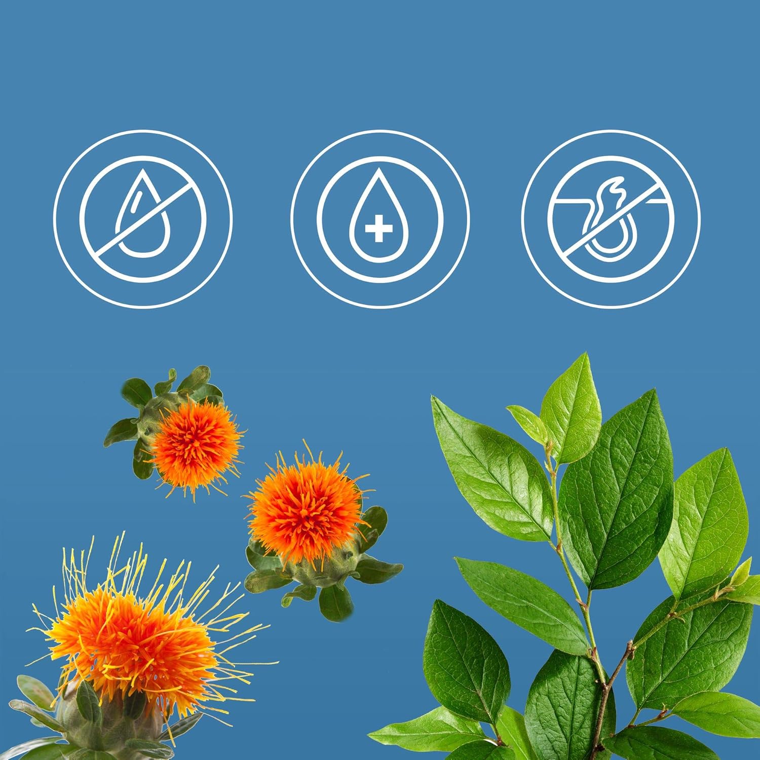 St. Ives Timeless Skin Collagen Elastin Face Lotion 150mL