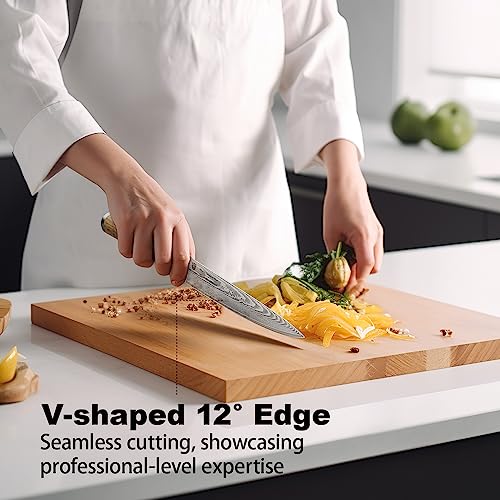 Damascus Chef Knife 8 Inch,Japanese Kitchen Knife with VG10 Steel Core,Ultra Sharp Professional Chef's Knife,Olive Wood Handle,High Carbon Stainless Steel Cooking Knife,Boxed