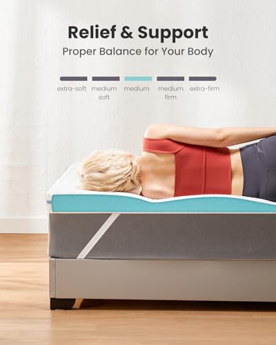 Dreamsmith 3 Inch Memory Foam Mattress Topper Queen, Cooling Gel-Infused Bed Topper for Back Pain with Removable Soft Cover, CertiPUR-US Certified, Queen