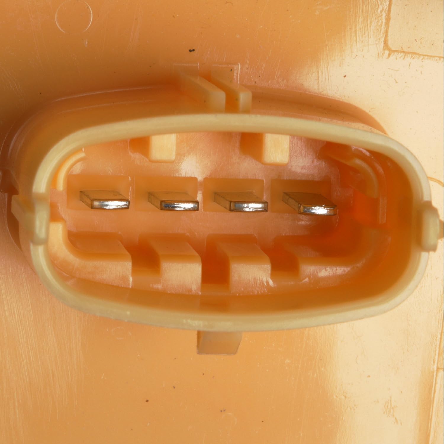 Delphi FG1981 New Fuel Module Assembly, 1 Pack