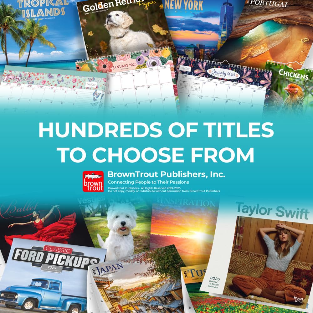 Haciendas de Mexico | Great Houses of Mexico | 2025 12 x 24 Inch Monthly Square Wall Calendar | English/Spanish Bilingual | Plastic-Free | BrownTrout ... Latifundium (Spanish and English Edition)