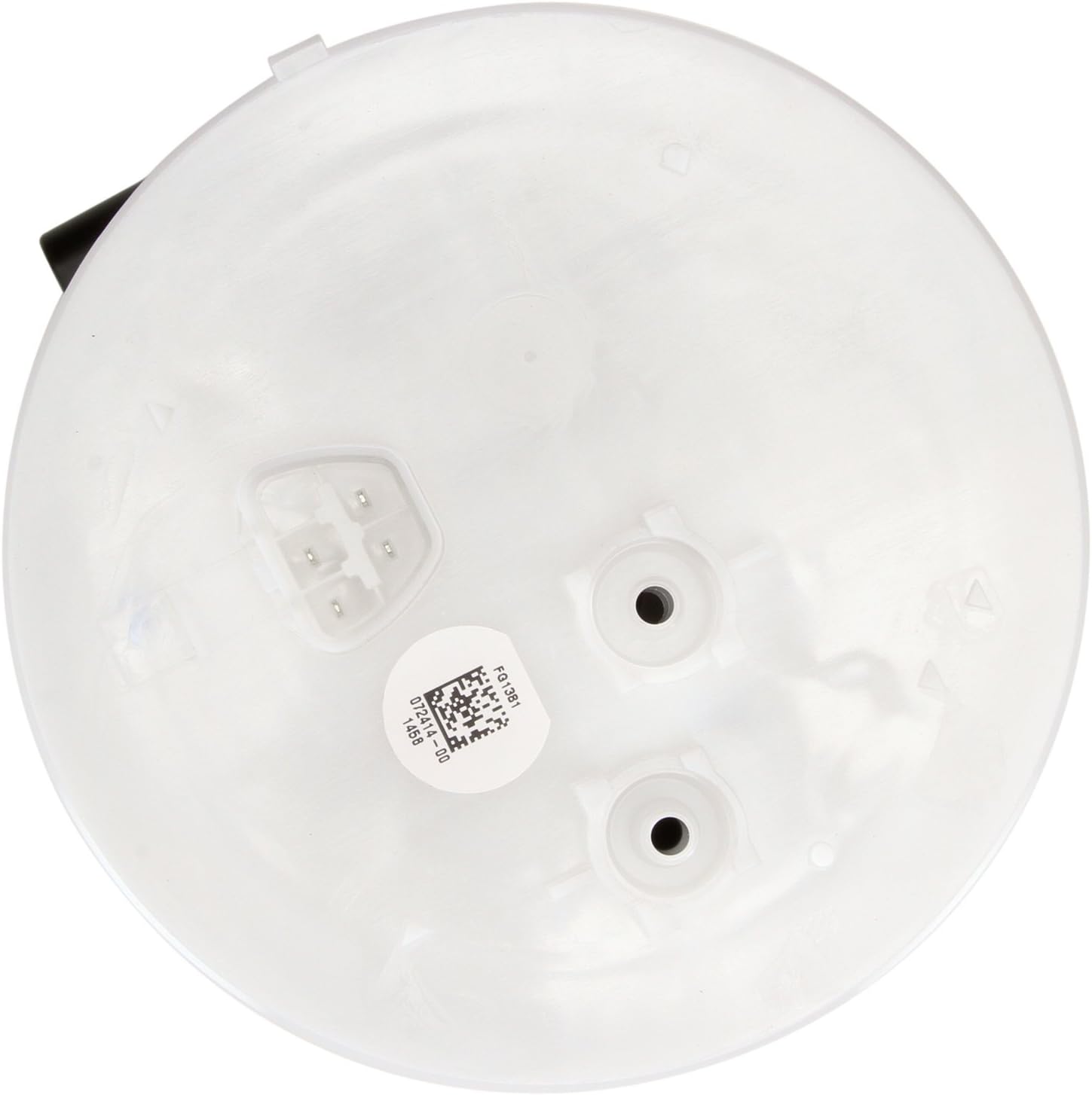 Delphi FG1381 Fuel Module