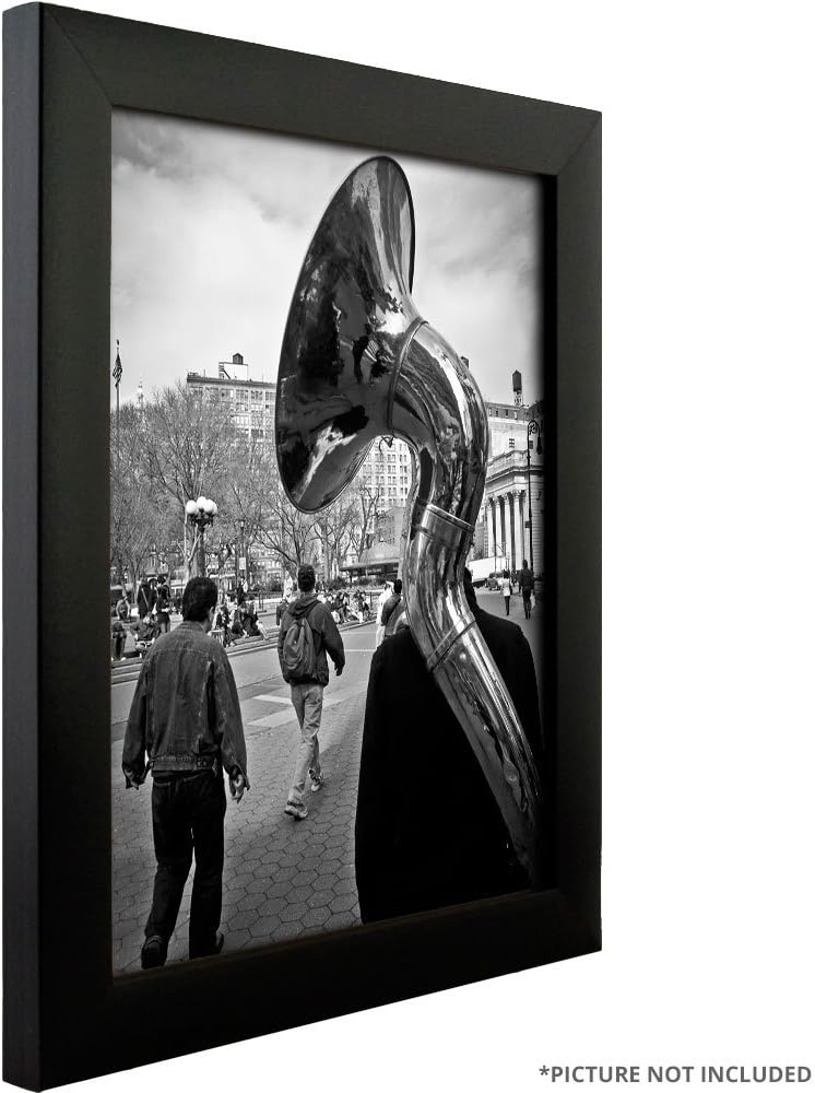 Craig Frames 1WB3BK 5 by 22-Inch Picture/Poster Frame, Smooth Finish, 1-Inch Wide, Matte Black