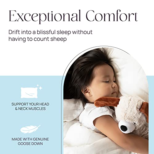 King Size Pillow Set of 2 - Firm Luxury Hotel Pillow for a Luxury Bed - 100% European Goose Down Pillow 800FP - Featherless Pillow for Sleeping