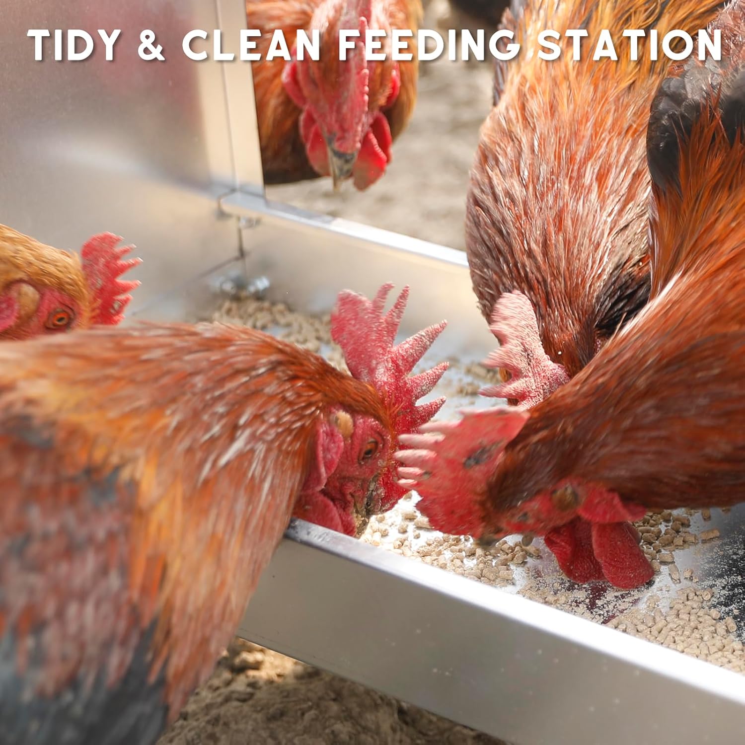 Solution4Patio Portable Metal Chicken Feeding Trough with Roof, Galvanized Steel Chicken Feeder with Drainage Holes, Rust-Resistant, Easy to Clean, Chicken Coops Accessories #B815A01