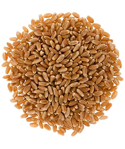 Hard Red Spring Wheat Berries | 25 LBS | Meet the Farmers | 100% Desiccant Free | Sproutable | Non-GMO Project Verified | Kosher | Poly Bag