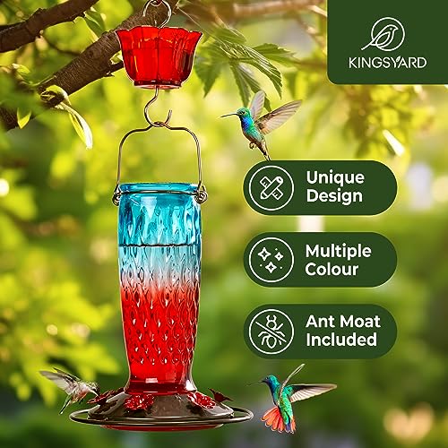 Kingsyard Glass Hummingbird Feeder for Outdoors Hanging, 24 Ounce, Humming Bird Nectar Feeder with 6 Feeding Ports & Ant Moat, Leak-Proof, Green & Red