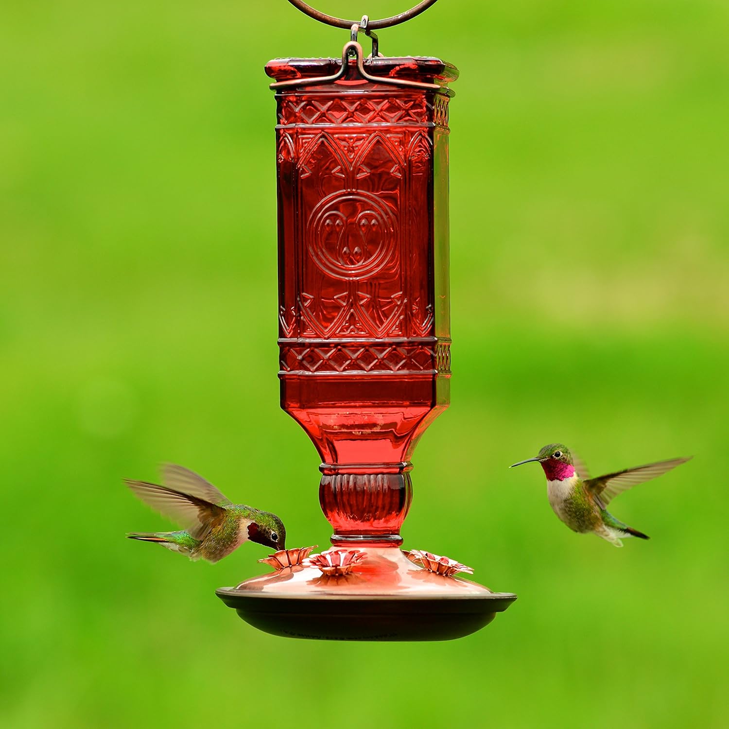 Perky-Pet 8116-2 Red Square Antique Bottle Glass Hummingbird Feeder
