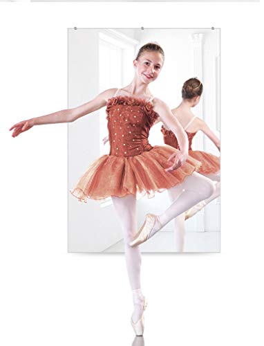 HANS Wall-Mounted Polished Mirror for Home Gym and Yoga Aactivity-1 Piece (48inchX32inch), wood (DYL5894)