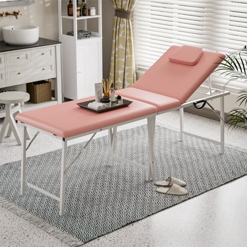 Paddie Portable Tattoo Chair for Client 72inch, Mobile Spa Chair Foldable with Storage Bag, Black