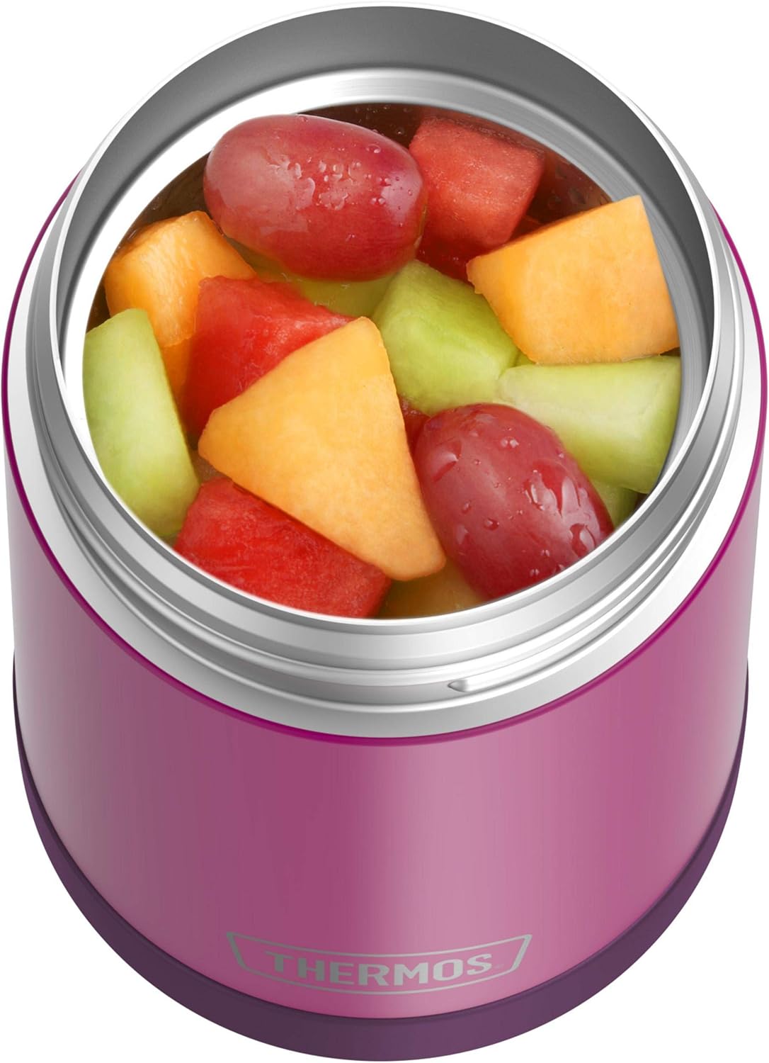 THERMOS FUNTAINER 16 Ounce Stainless Steel Food Jar, Red Violet
