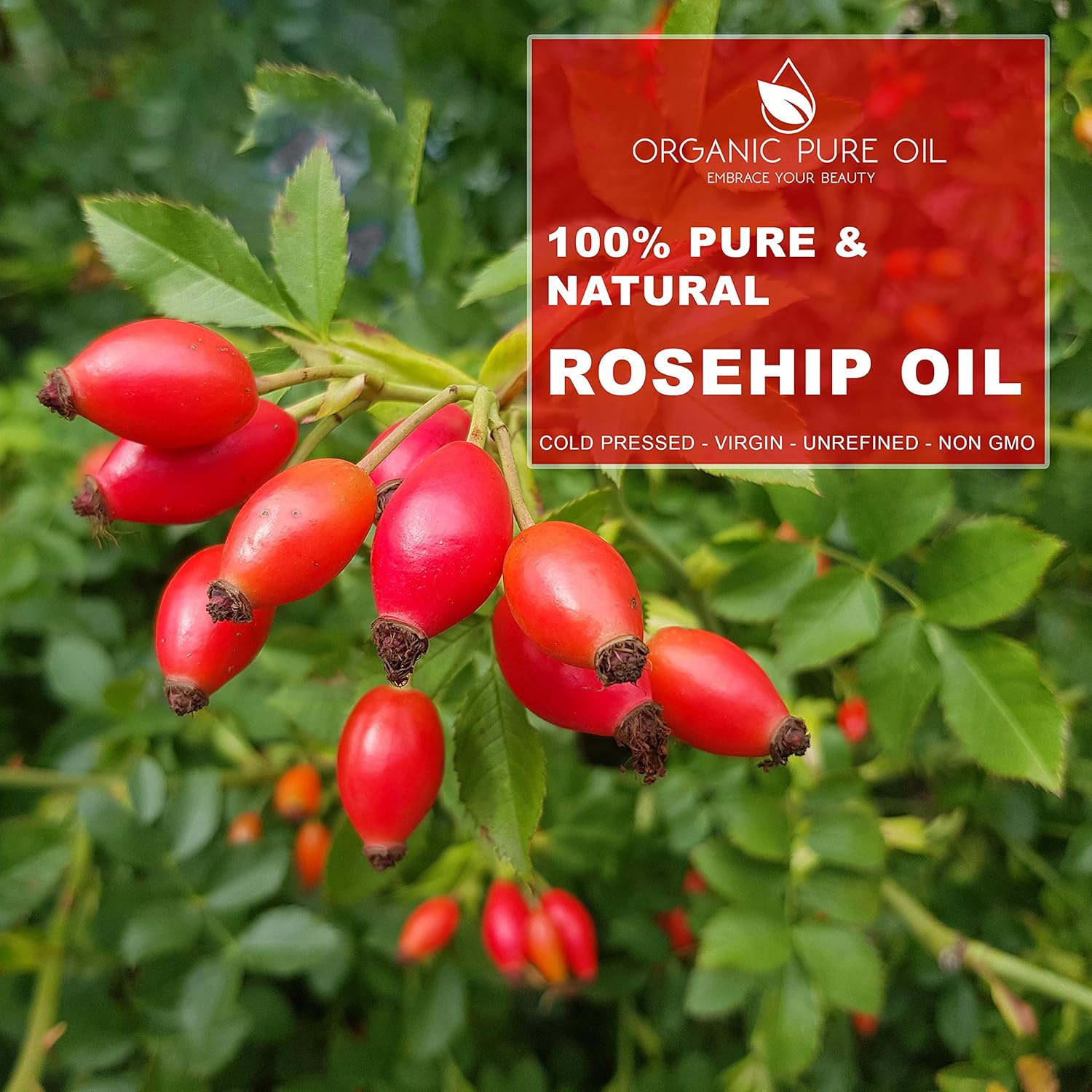 OPO Rosehip Oil - 16 oz - 100% Pure, Unrefined, Cold Pressed, Non-GMO, Vegan Bulk Carrier Oil - Skin, Hair, Nails, Body, Face, Facial Hair - Nourish, Moisturize, Condition Sensitive, Mature, Brittle