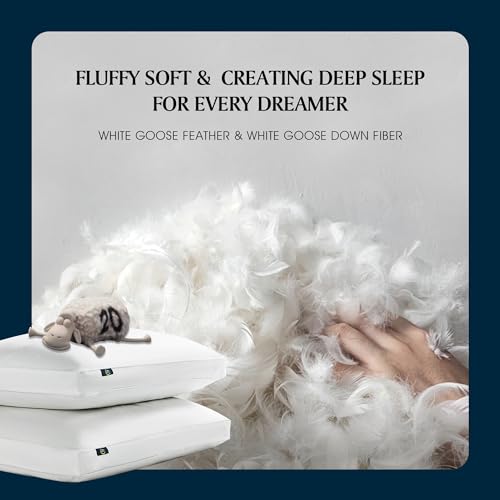 Serta 233 Thread Count White Goose Feather Medium Firm 100% Cotton Hotel Collection Bed Side Sleeper Pillow, King, 2