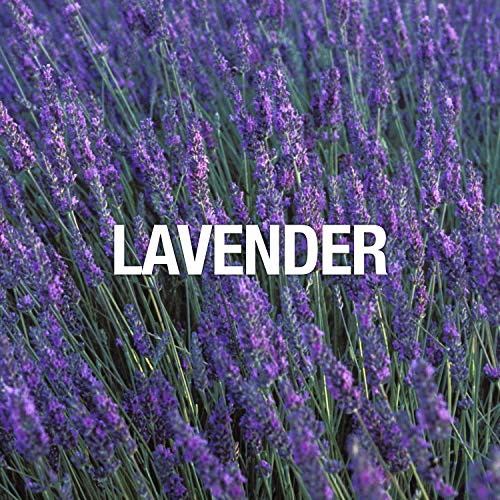 Curve Curve for Men, Men's Fragrance 2 Piece Gift Set, 2.5 Fl. Oz. Eau De Cologne and 6.0 Oz Deodorant Spray, 2 Count