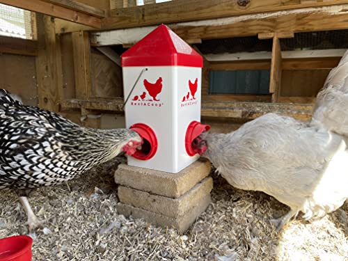 RentACoop Chick2Chicken 2.5lb BPA-Free Single-Port Feeder - includes Anti-Roost Lid, Slider Port Cover, and Wire Bracket - Suitable for Quail, Pigeons, Doves, Chicks, and Adult Chickens
