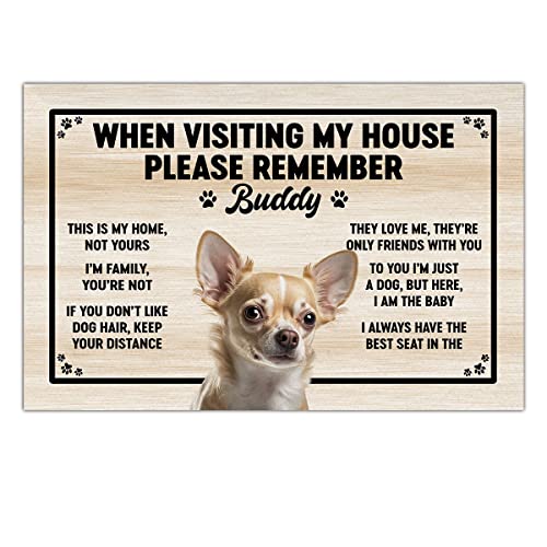 Doormat This is My Home Not Yours Cavalier King Charles Spaniel Personalized Floor 16x24 Inch Non-slip Doormat Home House Porch Patio Outside Gifts for Dog Mama Papa Family Friends
