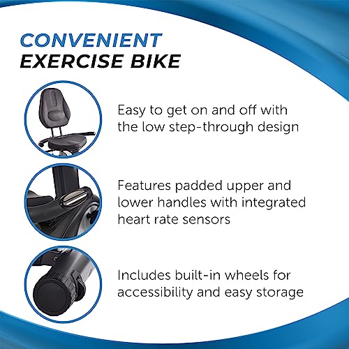 Stamina Elite Total Body Recumbent Bike