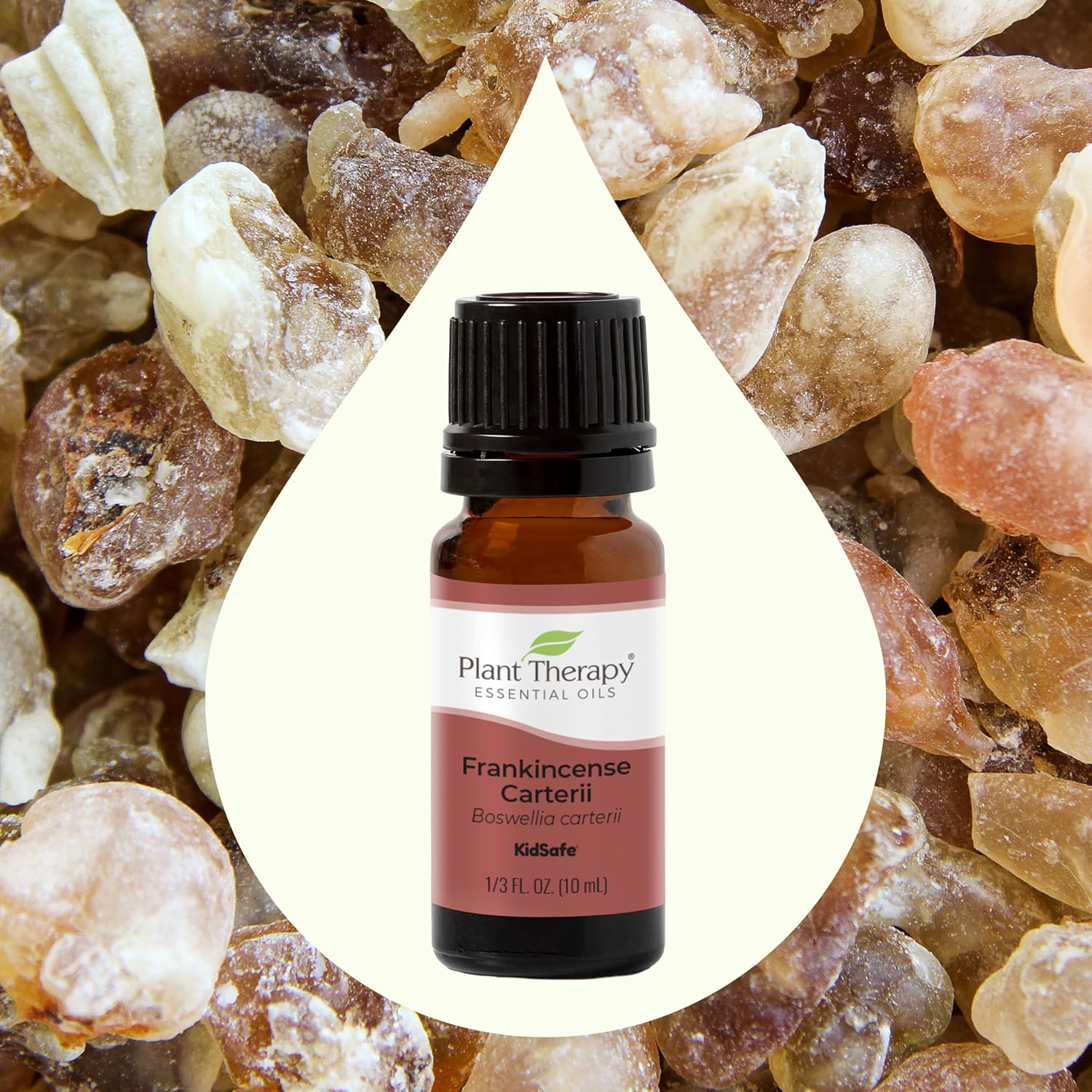 Plant Therapy Frankincense Carterii Essential Oil 100% Pure, Undiluted, Natural Aromatherapy, Therapeutic Grade 10 mL (1/3 oz)