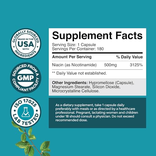 Vitamin B3 Niacinamide 500mg Capsules - Mitochondrial Energy and Potent Skin Supplement - AKA Vitamin B3 Niacin 500mg Flush Free and Nicotinamide 500mg - Flush Free Niacin Supplement - 240 Count