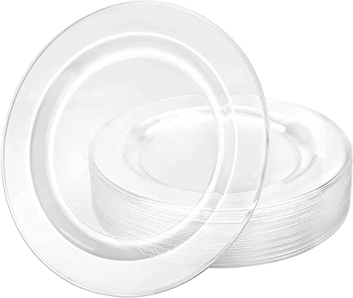 120 Count Plastic Plates 10.25 inch Premium Quality Heavyweight China Like Disposable Plates, Wedding and Party Dinnerware, Crystal Clear, Value Pack 120 Count