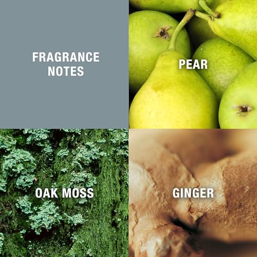 Curve Men's Cologne Fragrance Spray, Casual Day or Night Scent, Curve Crush, 0.5 Fl Oz