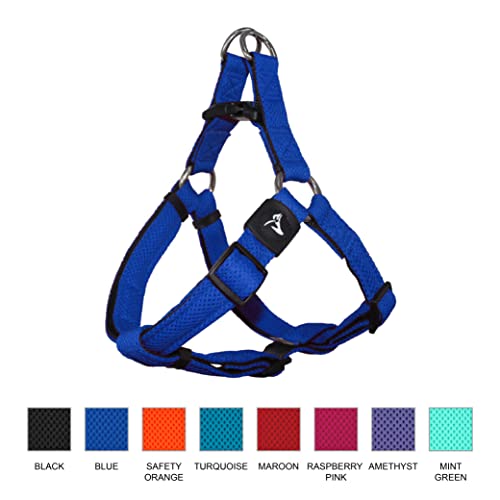Kruz Original Heavy-Duty No Pull Dog Harness - Ultra Comfort, Lifetime Durability, Pet Harness for Small and Medium Dog Breeds (Mint Green, Large)